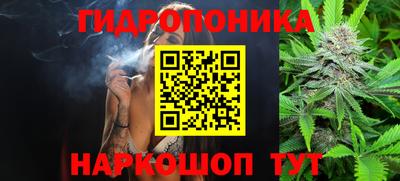эйфоретик Донской